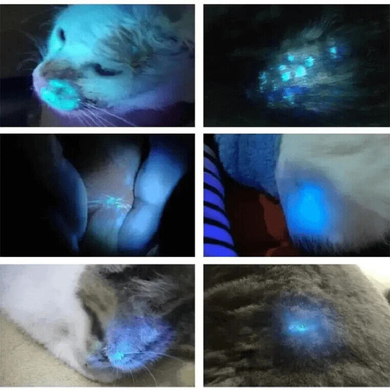UV Woods Lamp Examination Dermatology Skin Anyalyzer, Bed Bug Inspection