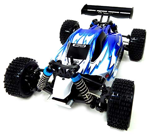 Dusky Shark 1:18 RC Off-Road Buggy - 2.4GHz 4WD Remote Control Vehicle for Adventure