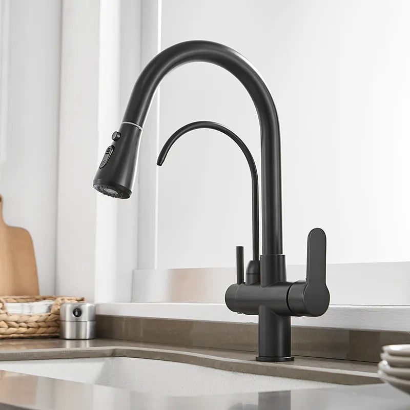 Polished Chrome Pull-Out Kitchen Faucet with Filter – Solid Brass Tap