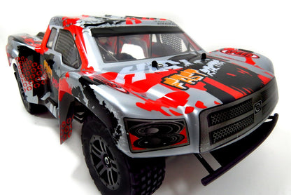 Dusky Shark 1:12 Scale 2.4GHz RC Pathfinder Racing Truck, High-Speed Remote Control (Silver)